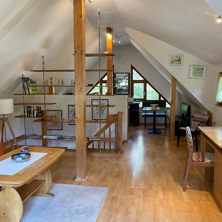 Apartmán Kleines Haus Silberdistel Todtmoos Exteriér fotografie
