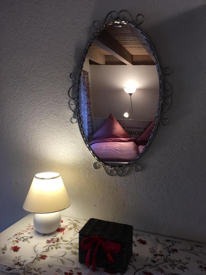 Apartmán Kleines Haus Silberdistel Todtmoos Exteriér fotografie