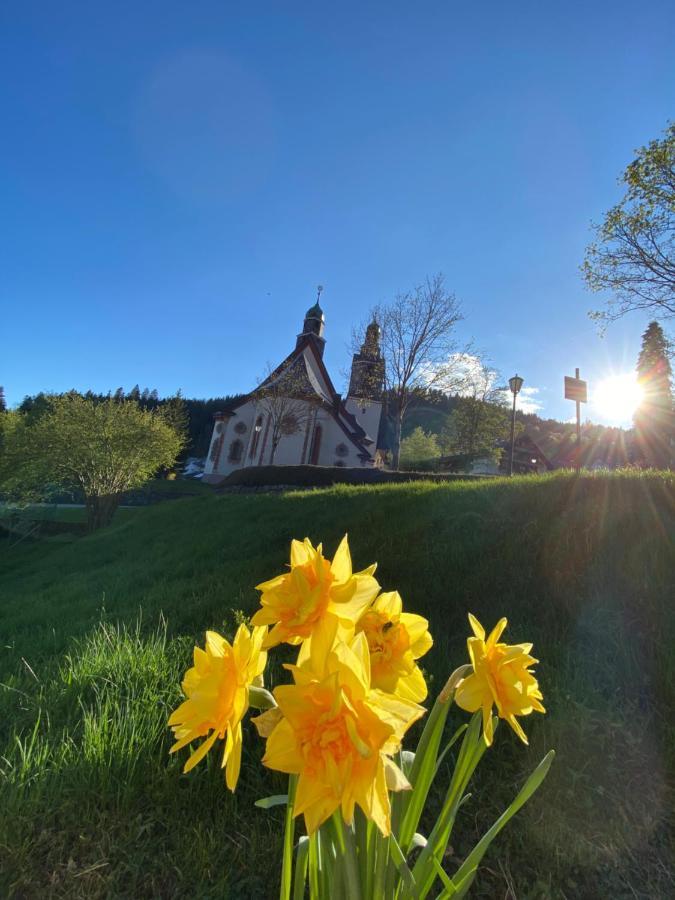 Apartmán Kleines Haus Silberdistel Todtmoos Exteriér fotografie