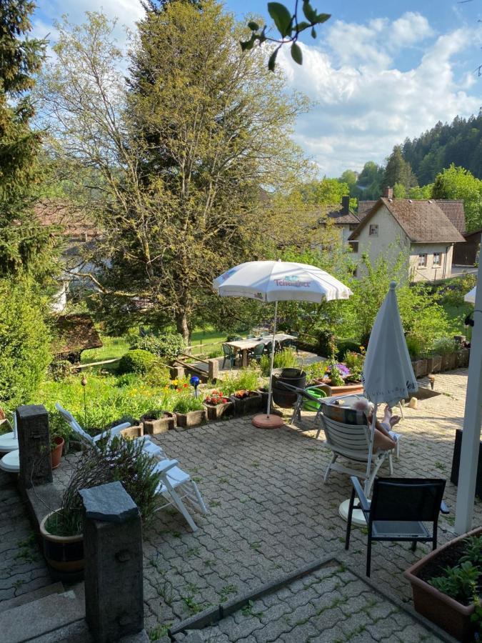 Apartmán Kleines Haus Silberdistel Todtmoos Exteriér fotografie