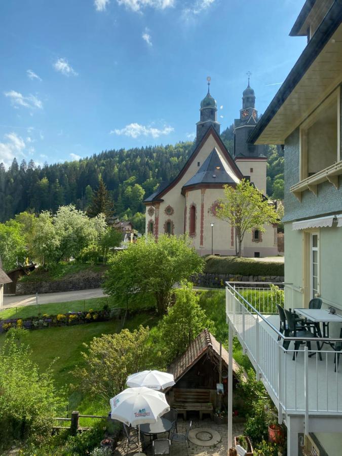 Apartmán Kleines Haus Silberdistel Todtmoos Exteriér fotografie